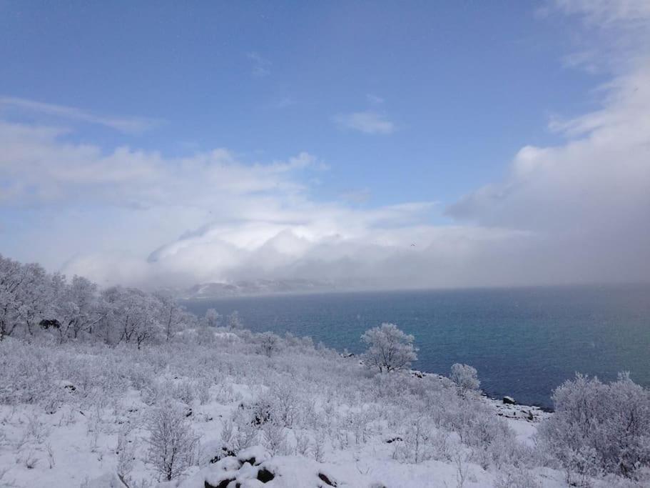 Fantastic View, Quiet And Relaxing By The Sea Villa Kvaloya Екстериор снимка